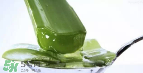蘆薈怎么吃？蘆薈番茄湯的做法 