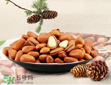 松子什么時(shí)候成熟？松子什么時(shí)候吃最好