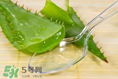 新鮮的蘆薈怎么吃？蘆薈的多種吃法