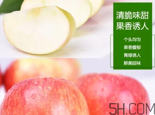 美八蘋果價(jià)格多少錢？美八蘋果多少錢一斤？