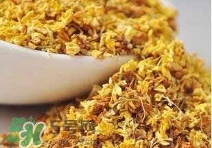 桂花茶怎么泡？桂花茶泡水喝的禁忌 