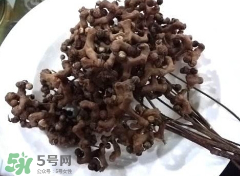 拐棗可以嫁接嗎？拐棗是哪里的特產(chǎn)