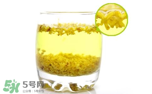 桂花茶怎么泡？桂花茶泡水喝的禁忌 