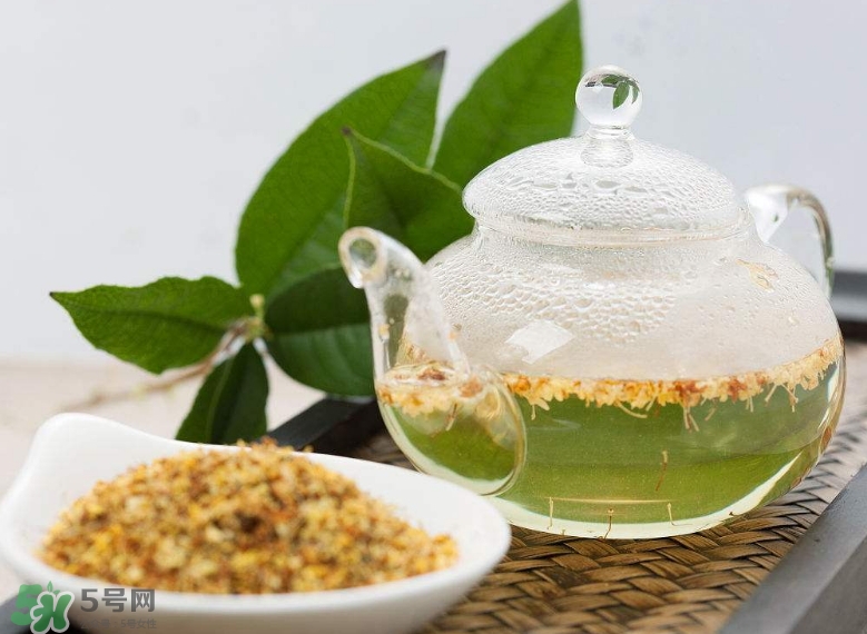 桂花茶怎么泡好喝？桂花茶怎么制作？
