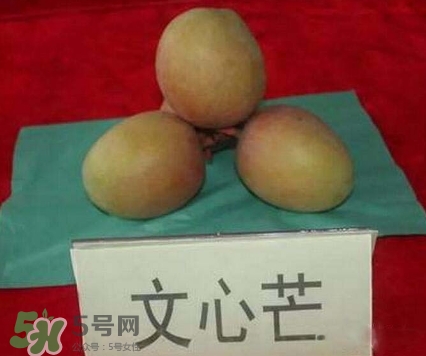 芒果有哪些品種？哪種芒果最好吃？