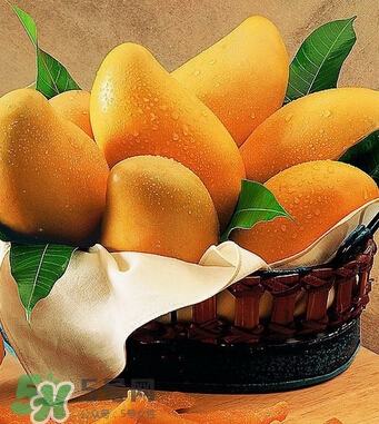 芒果怎么吃？芒果的做法大全