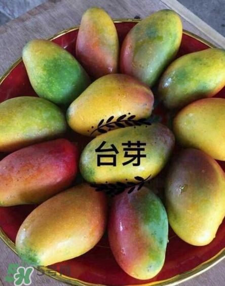 芒果有哪些品種？哪種芒果最好吃？