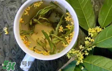 桂花茶怎么泡好喝？桂花茶怎么制作？