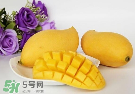 芒果有哪些品種？哪種芒果最好吃？