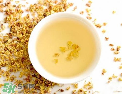 桂花茶怎么泡好喝？桂花茶怎么制作？