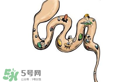 螺旋藻能治胃病嗎？有胃病日常需要注意什么？