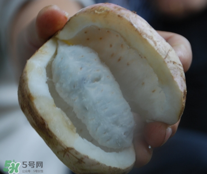 八月瓜可以經(jīng)常吃嗎？八月瓜可以多吃嗎？