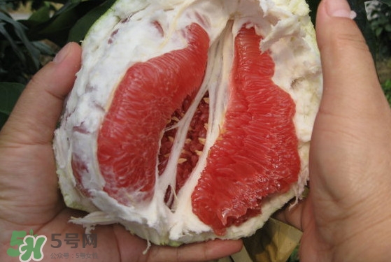 紅肉蜜柚可以儲(chǔ)存多久？紅肉蜜柚怎么挑選