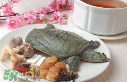 腳魚是什么？腳魚和烏龜?shù)膮^(qū)別