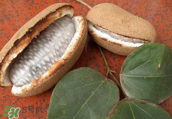 八月瓜能放冰箱嗎？八月瓜怎么保存？