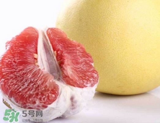 紅肉蜜柚是哪里產(chǎn)的？紅肉蜜柚的種植技術(shù)