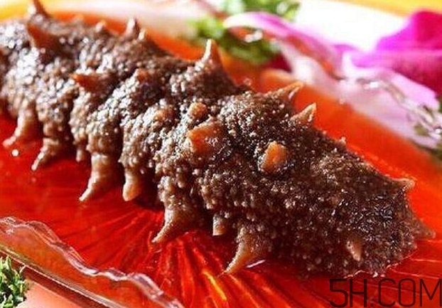 海參能和西紅柿一起吃嗎？海參和什么一起吃最好？