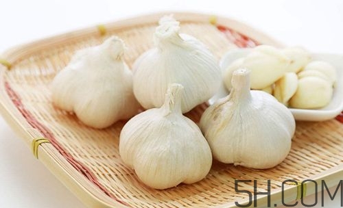 大蒜泡酒治什么病？大蒜泡酒有什么好處？