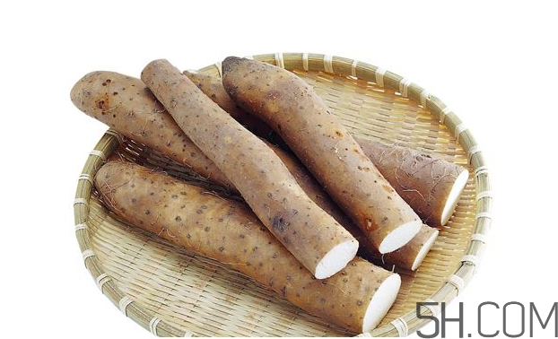 山藥發(fā)芽怎么處理？山藥的功效及作用