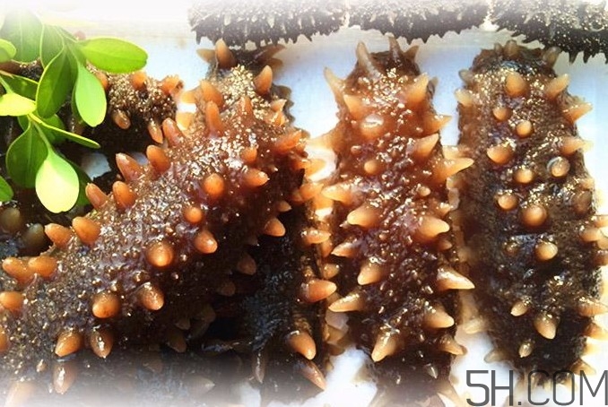 海參能和西紅柿一起吃嗎？海參和什么一起吃最好？