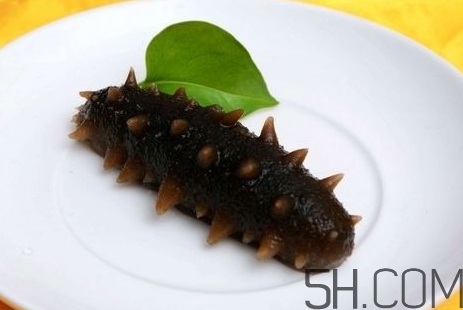 海參是高蛋白食物嗎？海參是素食嗎？
