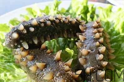 術(shù)后能吃海參嗎？術(shù)后吃海參的功效與作用