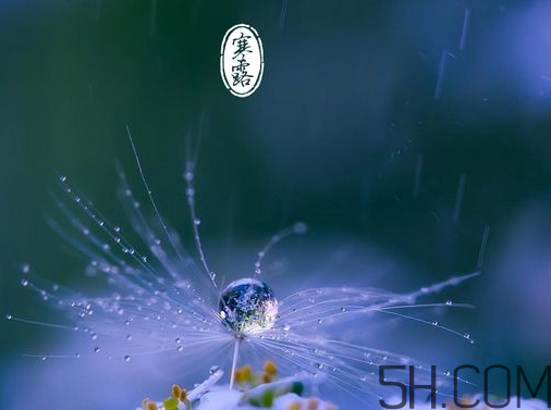 2017年寒露會下雨嗎？寒露下雨好嗎？