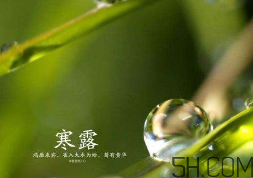 2017年寒露會下雨嗎？寒露下雨好嗎？