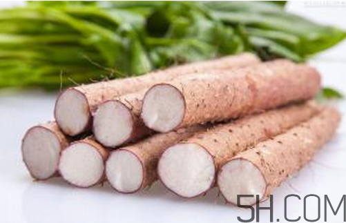 山藥和白蘿卜可以一起燉湯嗎？冬天吃山藥的五大好處