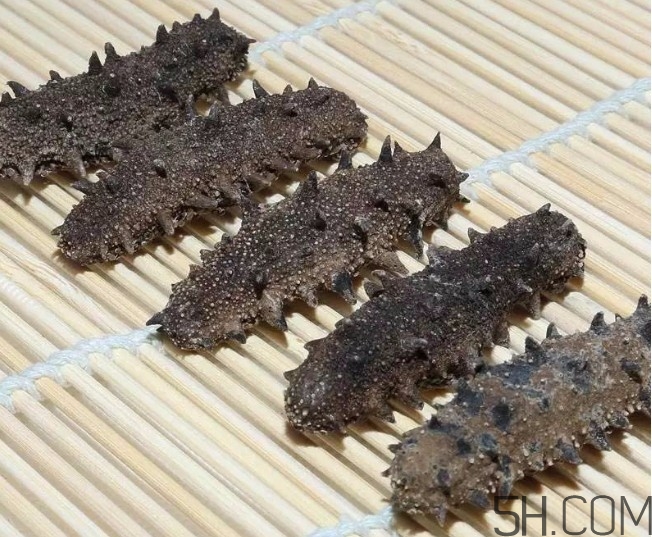 海參顏色深好還是淺好？海參顏色發(fā)白時怎么回事？
