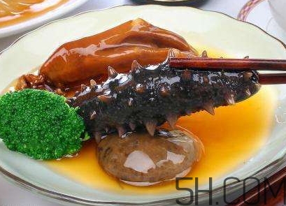 海參是海鮮嗎？海參是動物還是植物？