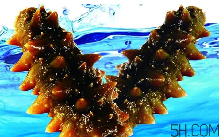 海參是酸性還是堿性？海參是涼性還是熱性？