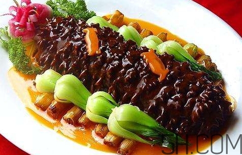 海參是高蛋白食物嗎？海參是素食嗎？