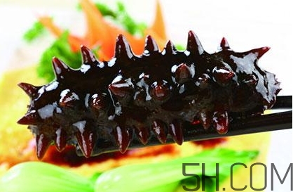 海參是高蛋白食物嗎？海參是素食嗎？