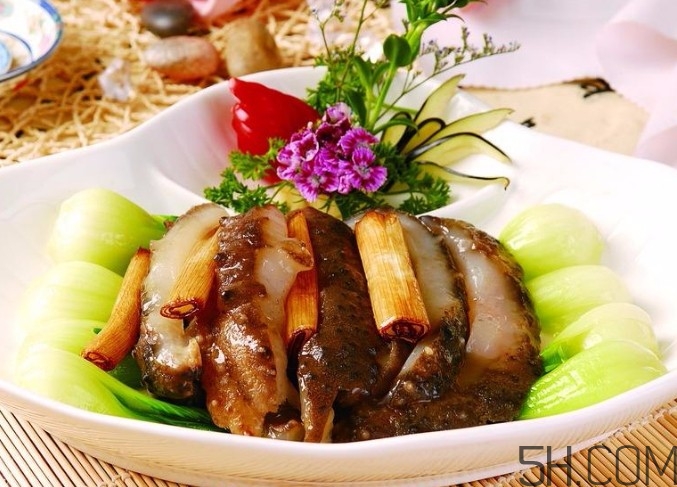 海參是高蛋白食物嗎？海參是素食嗎？