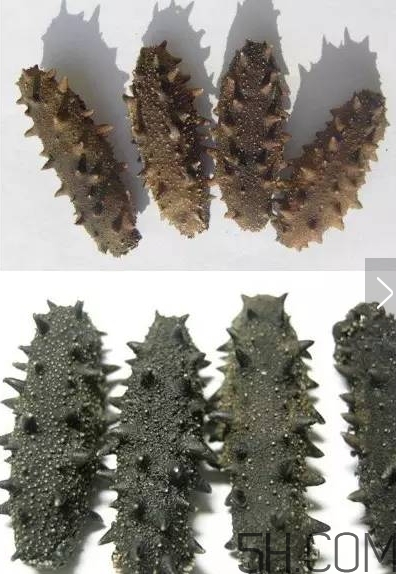 海參顏色深好還是淺好？海參顏色發(fā)白時怎么回事？