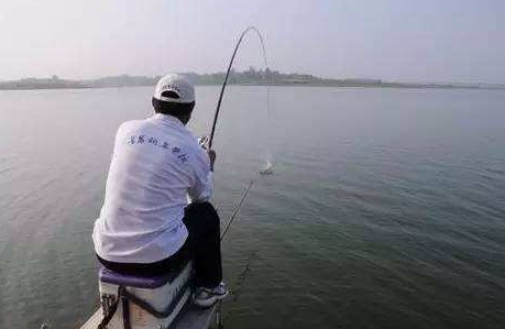 大蒜泡酒能釣魚(yú)嗎？大蒜泡酒釣魚(yú)的方法