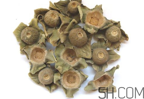 柿蒂治打嗝怎么煮水？柿蒂的功效與作用