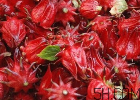 洛神果是什么？洛神果和洛神花區(qū)別