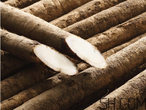 牛蒡是牛大力嗎？牛蒡和牛大力的區(qū)別