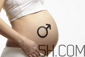 懷男孩和懷女孩的特征是什么？孕婦肚子硬生男生女？
