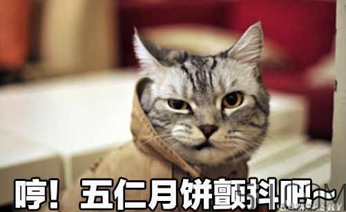 十仁月餅是哪十仁？十仁月餅好吃嗎