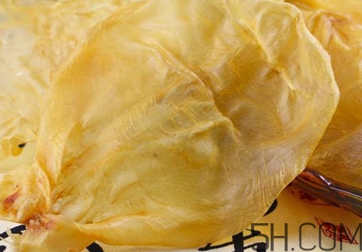 魚膠是魚泡嗎？魚膠是海鮮嗎