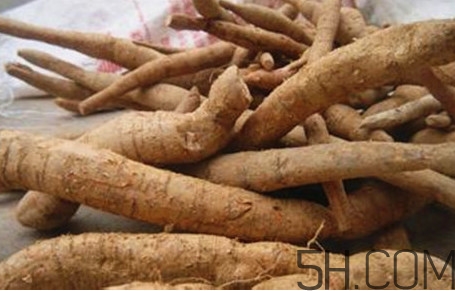 牛蒡用去皮嗎？牛蒡茶什么時(shí)候喝最好