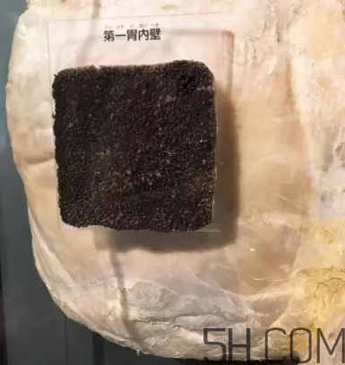 牛百葉和毛肚是一個(gè)東西嗎？牛百葉上面有層黑皮能吃嗎？