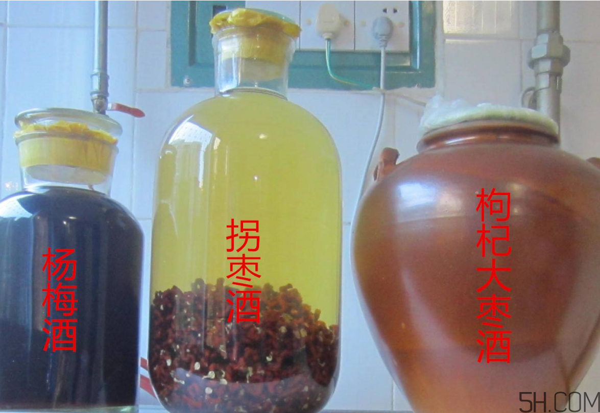 拐棗能泡酒嗎？拐棗能和蜂糖一起泡酒嗎？