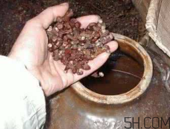 拐棗能泡酒嗎？拐棗能和蜂糖一起泡酒嗎？