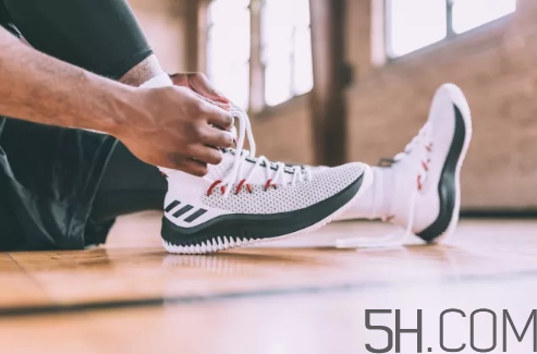 adidas dame 4多少錢？阿迪達斯利拉德四代上腳效果