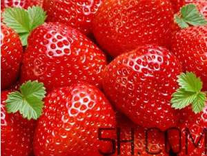 草莓都有哪些熱門品種？草莓怎么放不容易壞？
