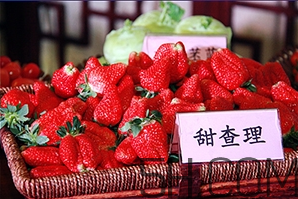 草莓都有哪些熱門品種？草莓怎么放不容易壞？